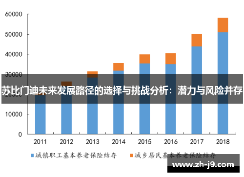 苏比门迪未来发展路径的选择与挑战分析：潜力与风险并存