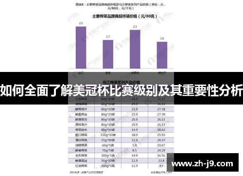 如何全面了解美冠杯比赛级别及其重要性分析